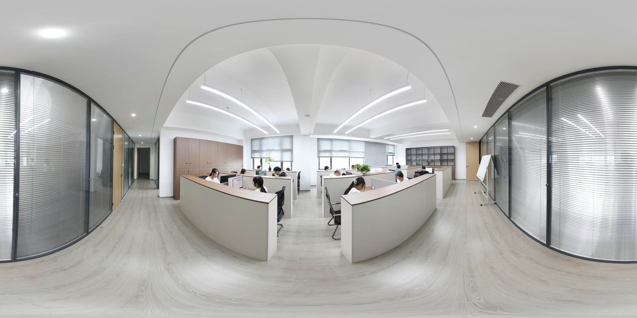 Sai Zhao office environment