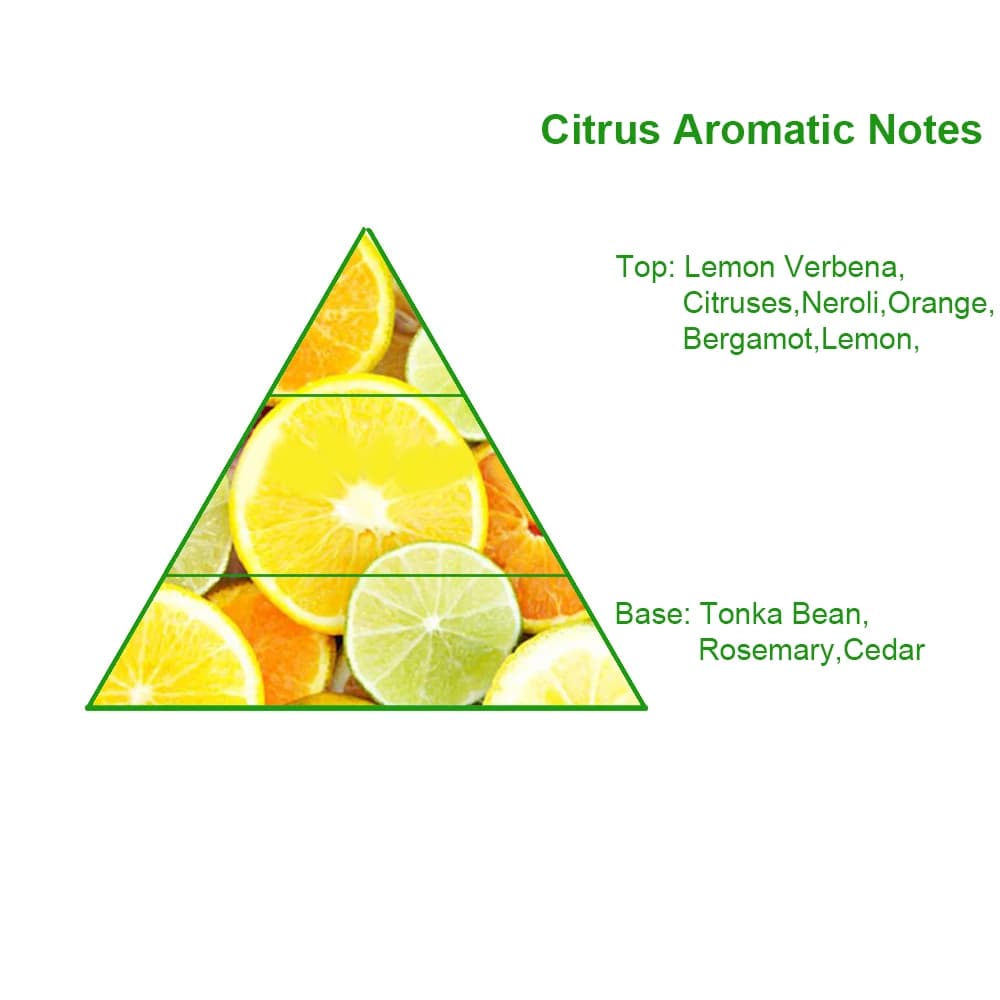 Famous Perfume Brand Fragrance Oil High Concentration Long-lasting Perfume Fragrance Oil Factory Direct Sales — product information 8