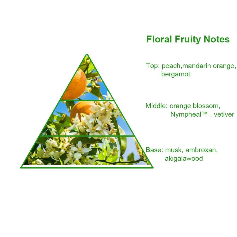 Newest Pure Concentrated Valaya Scented PD-M Brand Bulk Designer Perfume Fragrance Oil Perfume Oil Making — product information 7