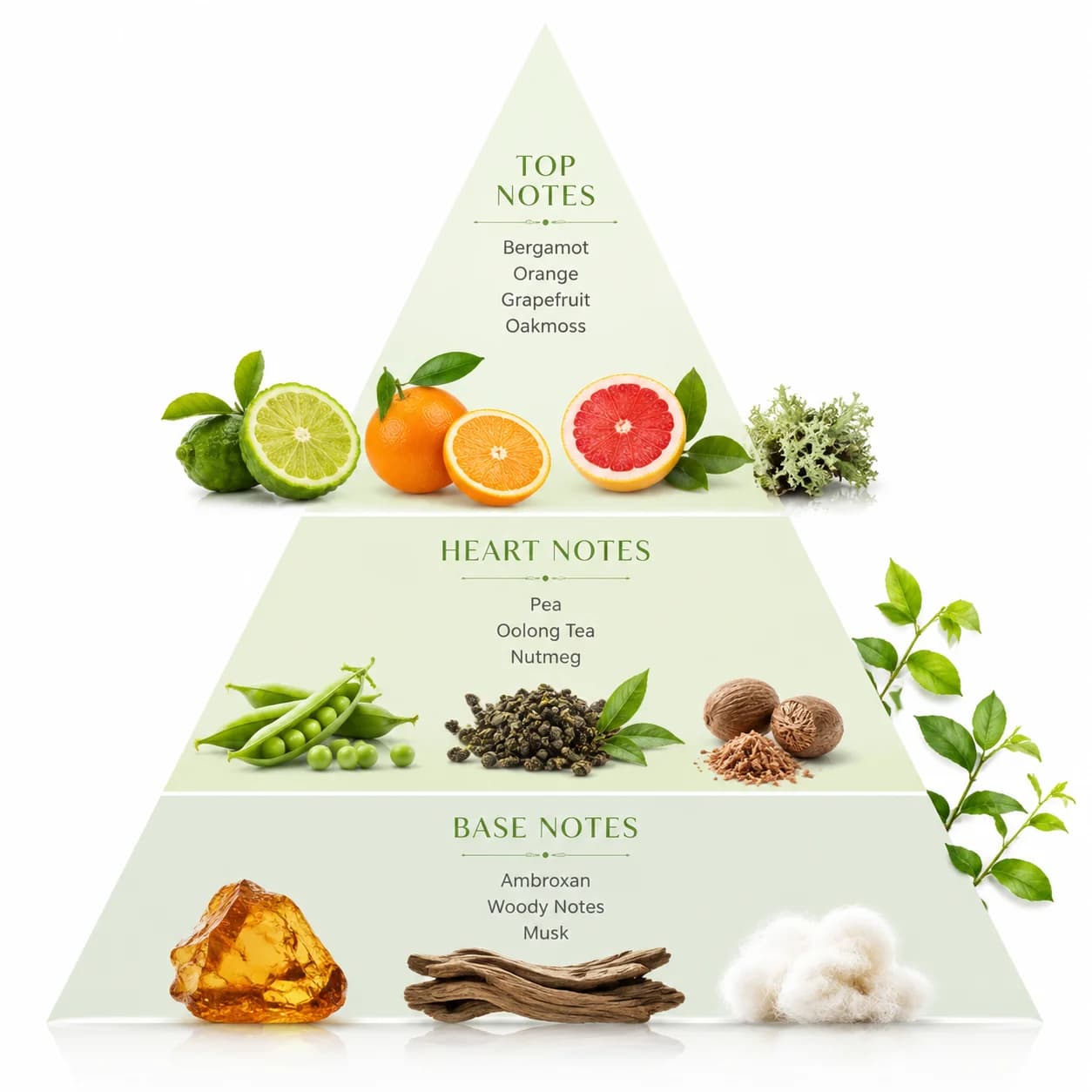 Concentrated Fragrance Niche Brand Inspired Wulong Cha Fragrance Oil Dupes for Perfume Making Wholesale — product information 7