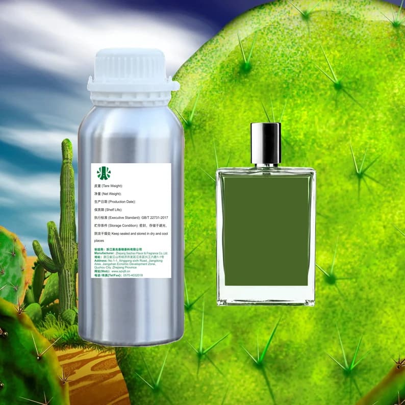 Wholesale Long Lasting Cactus in Garden Oil Perfume Brand Designer Perfume Oil Wholesale Arabic Perfume Oil — product information 7