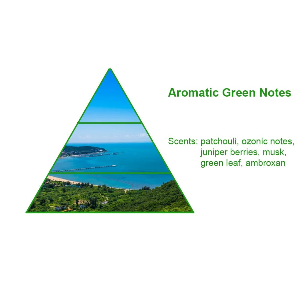 High Concentrated Baie 19 Scented Brand Bulk Designer Perfume Fragrance Oil Perfume Oil for Bulk Sale — product information 8