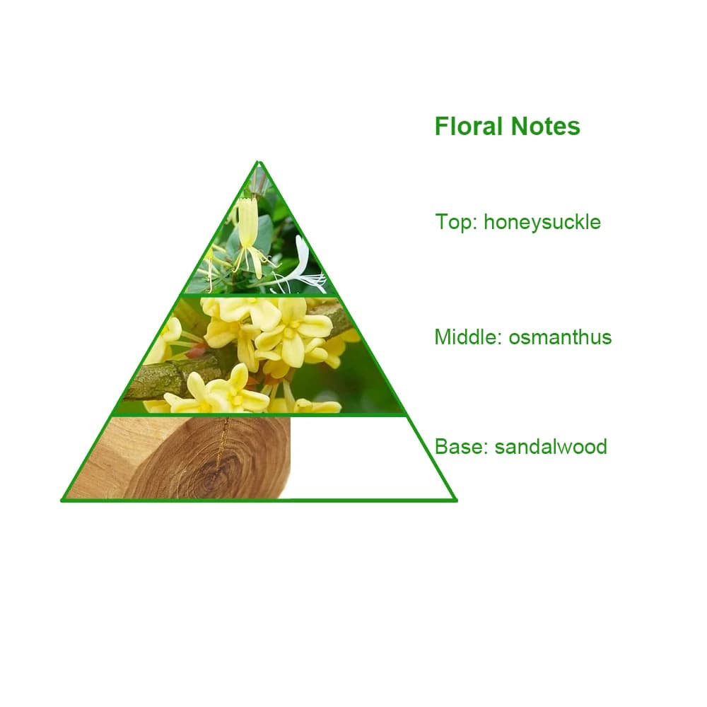 Wholesale Duplicated Undiluted Brand Designer Cabriole Fragrance Oil for Perfume Making — product information 8