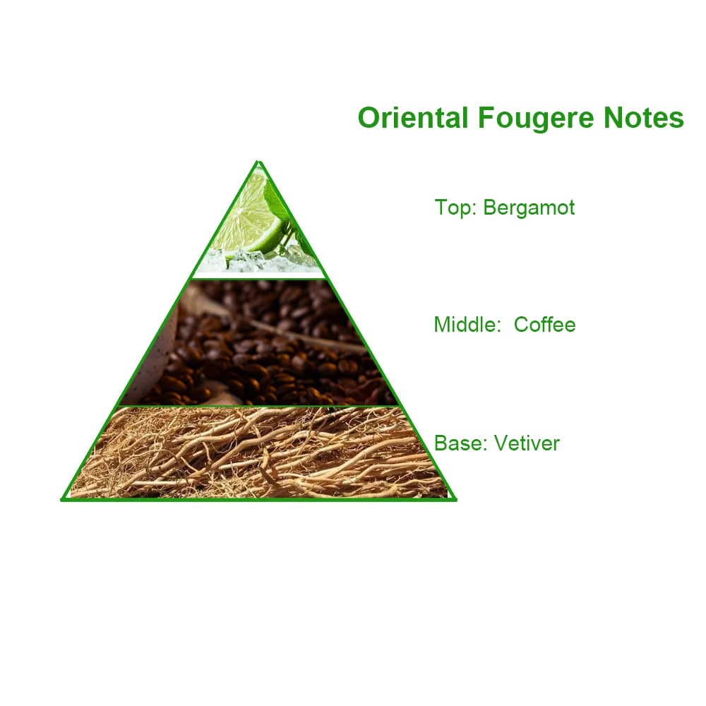 Men's Popular Concentrated Oriental Fougere Notes Brand Designer Perfume Fragrance Oil for Bulk Sale Body Oil — product information 8