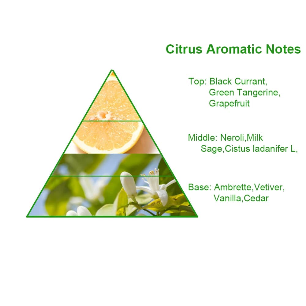 Most New Scent Moroccan Neroli Type Perfume Fragrance Oil Strong Long Lasting High Concentrated Fragrance Oil for Body Spray — product information 8