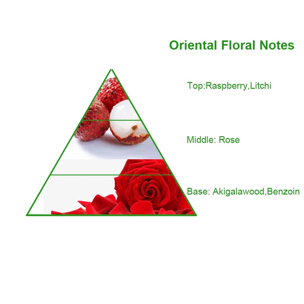 Wholesale Factory Best Price Angel Nova Branded Perfume Fragrance Oil Long Lasting High Concentrated Perfume Oil for Women — product information 8