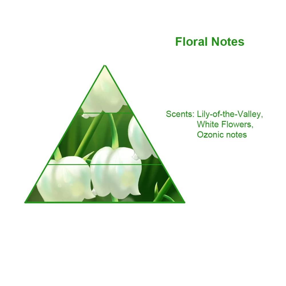 High Concentrated Perfume Oils Designer Perfume Famous Brands Lucky Fragrance Oil for Perfume — product information 8