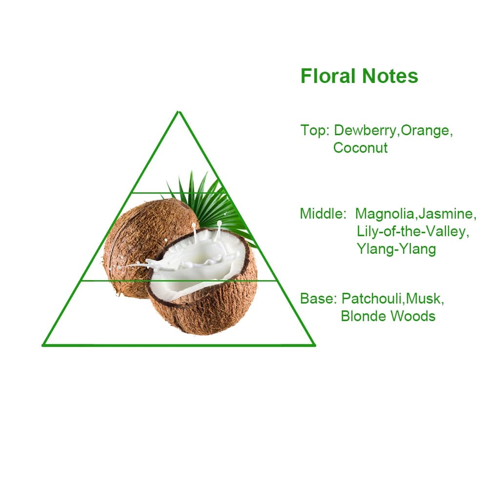 Fragrance Oil Concentrated Coconut Perfume Fragrance Oil Fragrance Compounds Perfume Bases — product information 8