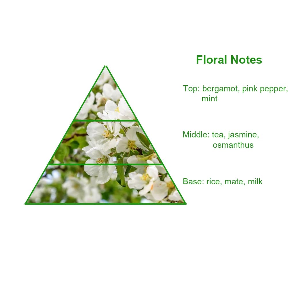 Women's Famous Brand Designer Tea Escape Scented Bulk Concentrated Fragrance Oil for Perfume Making — product information 8