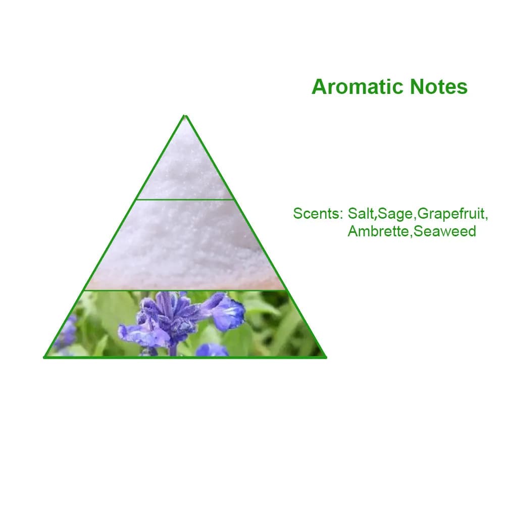 Wholesale Bulk Perfume Fragrance Oil Best Seller Designer Perfume Oil for Perfume Making — product information 8