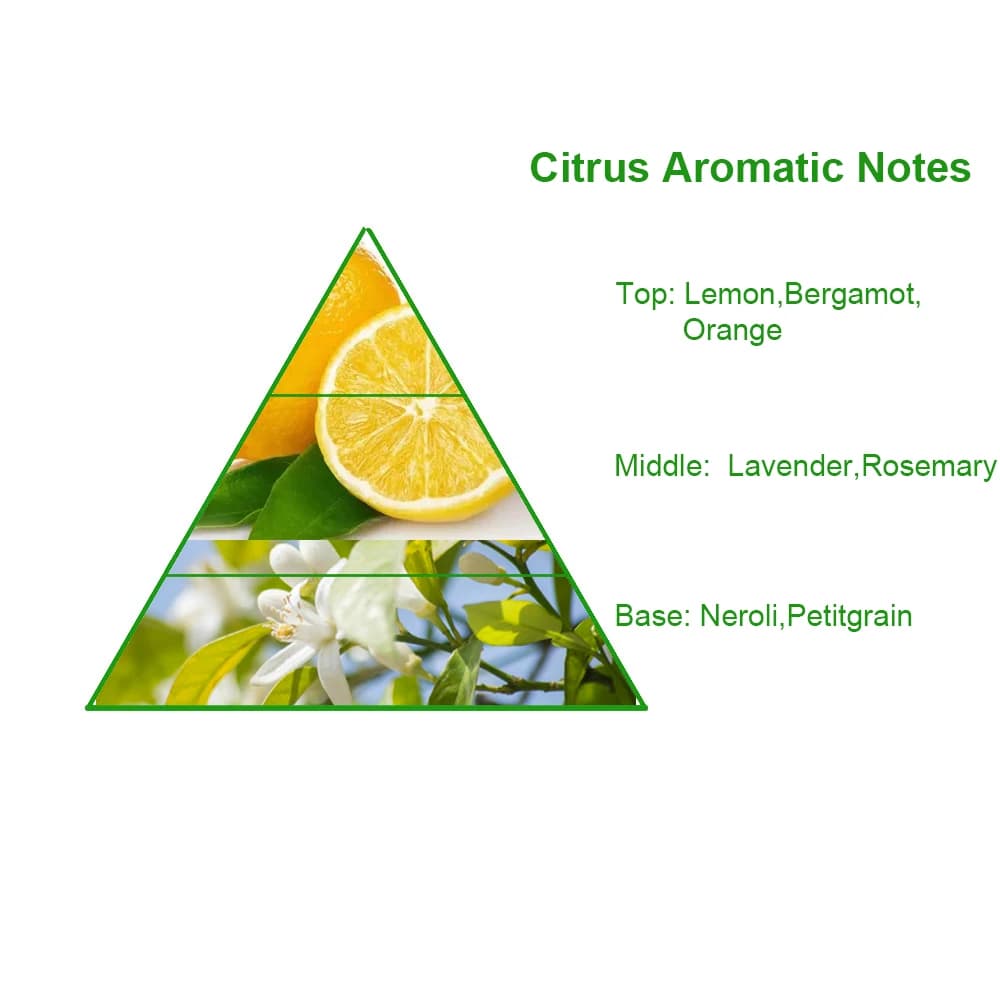 Wholesale Factory Price Most Popular Original Eau De Cologne Branded Perfume Fragrance Oil for Room Fragrance Body Fragrance — product information 8