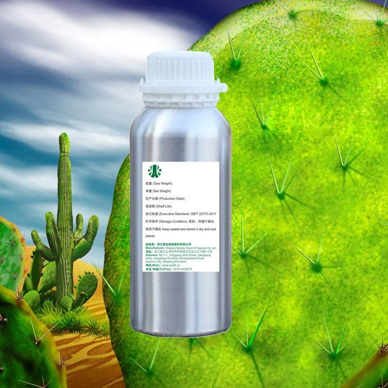 Wholesale Long Lasting Cactus in Garden Oil Perfume Brand Designer Perfume Oil Wholesale Arabic Perfume Oil — product information 1