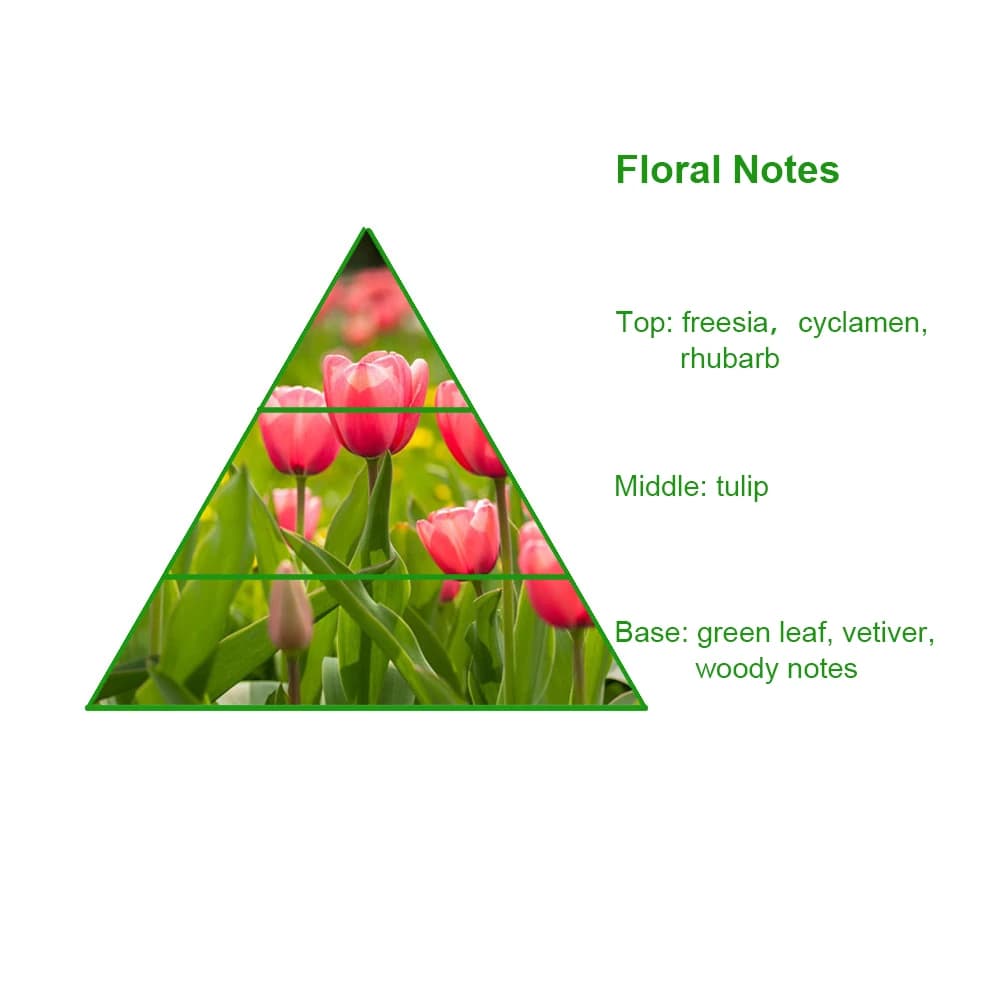 Popular Concentrated La Tulipe Brand Designer Perfume Fragrance Oil for Wholesale — product information 8
