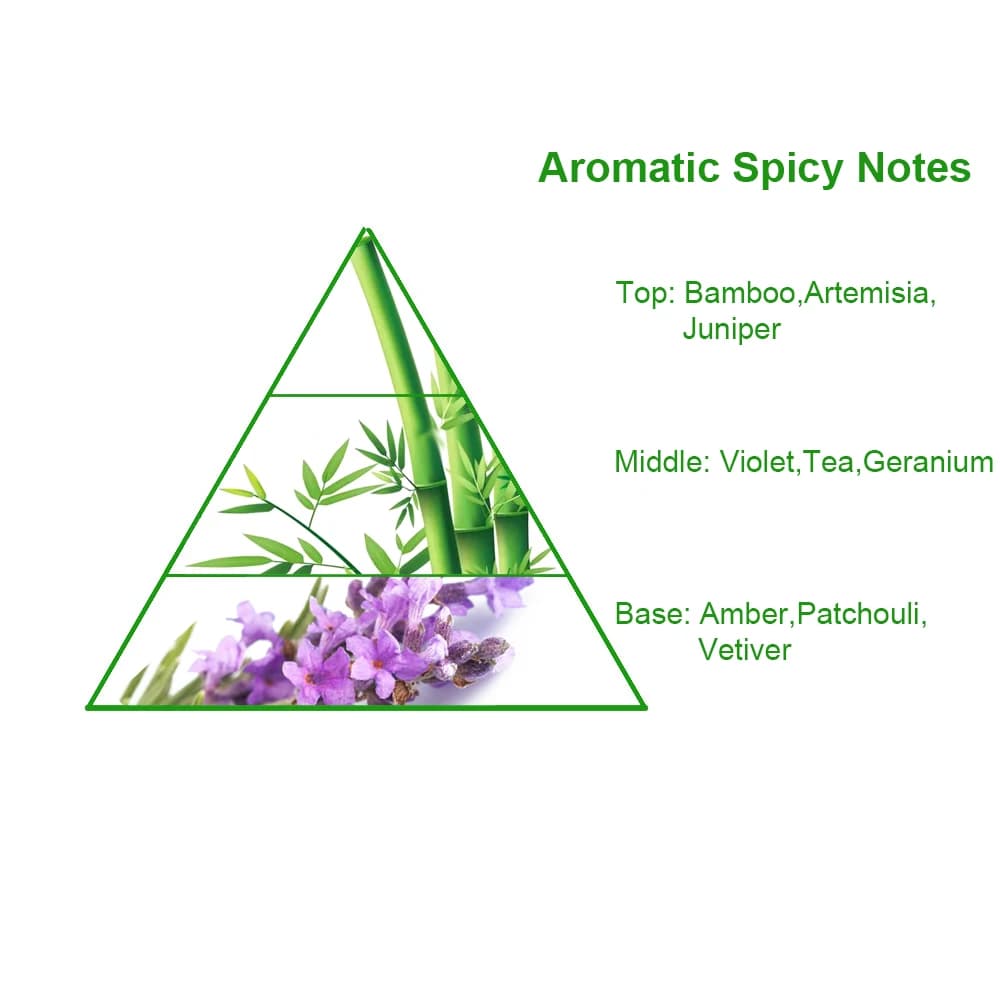 Eau De Lacost Pour Homme L.12.12. Magntic Branded Perfume Fragrance Oil Long Lasting Bulk Fragrance Oil for Perfume Making — product information 8