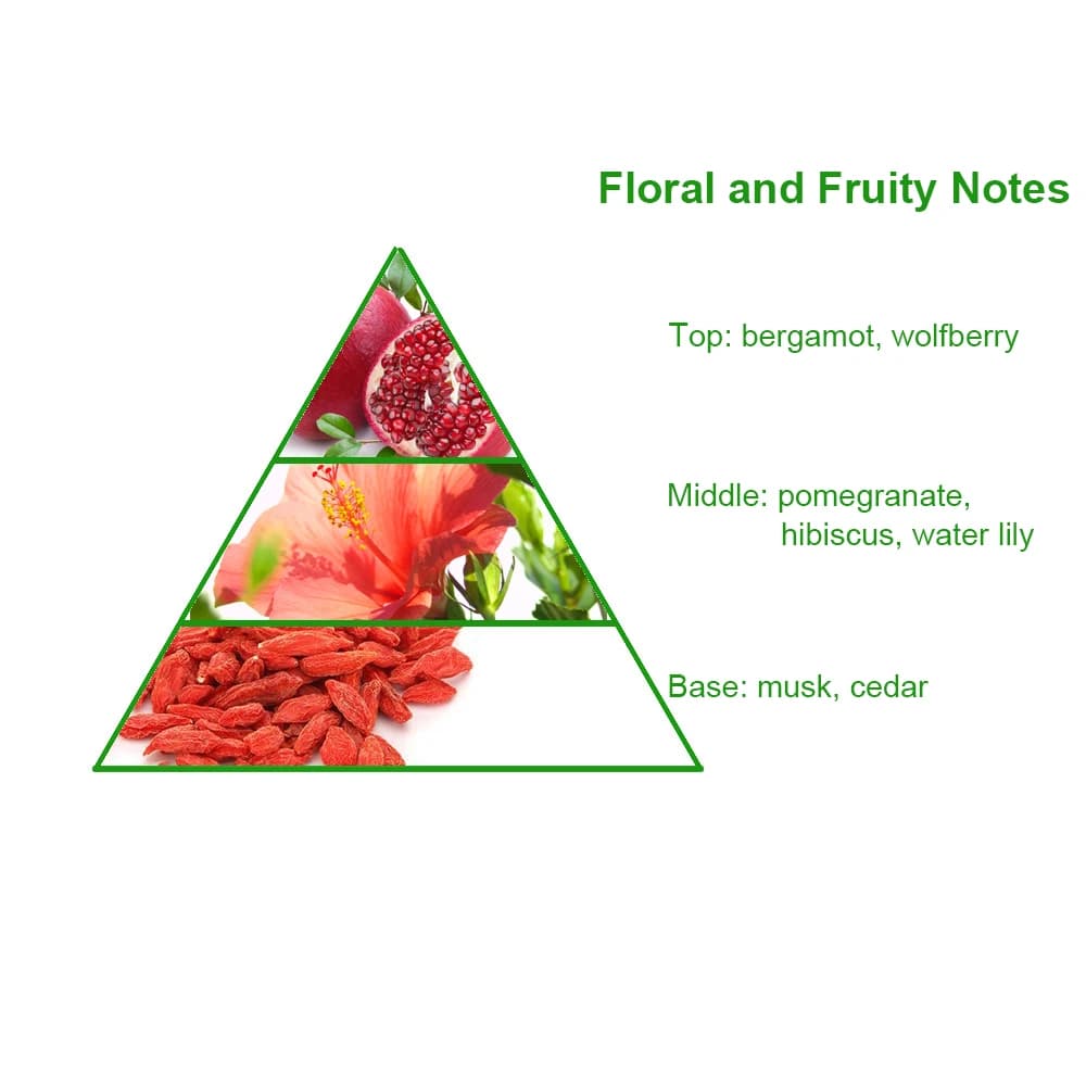 Famous Brand Bulk Designer Omnia Coral Perfume Fragrance Oil for Female — product information 8