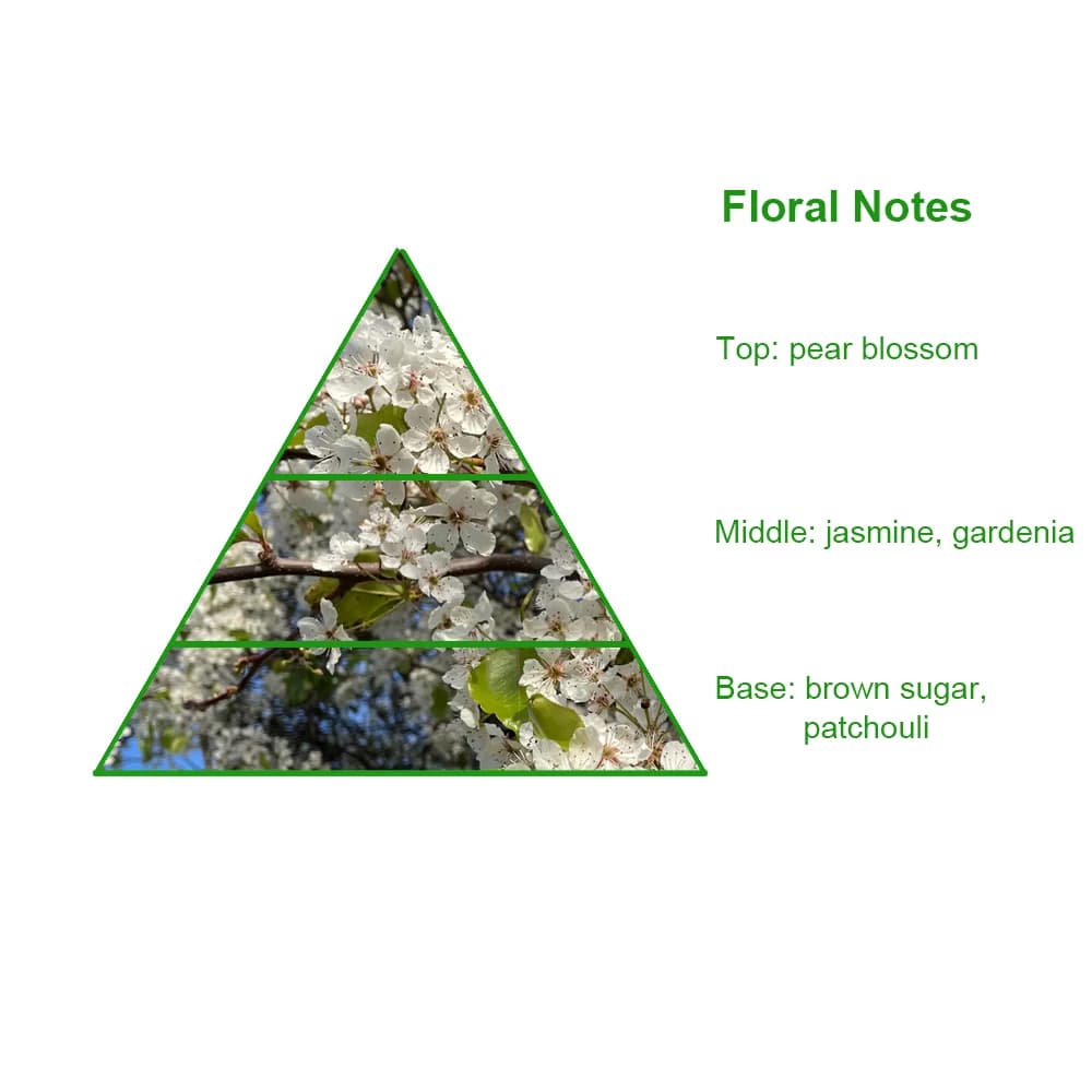 Duplicated Flora Gorgeous Gardenia 2021 Scented Branded Designer Perfume Fragrance Oil for Women with Alcohol Free — product information 8
